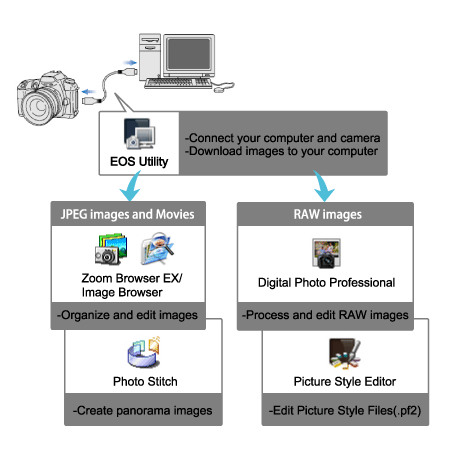 Composition Of The Supplied Software