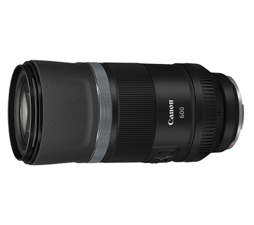 Ống kính Super Tele Canon RF600mm f/11 IS STM (Ảnh 1)