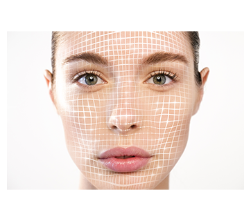 Profile Analyzer v1.0