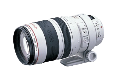 Canon EF100-400mm f4.5-5.6 L IS USM - レンズ(ズーム)