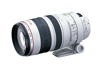 動作確認済みですCanon EF100-400mm f4.5-5.6 L IS USM